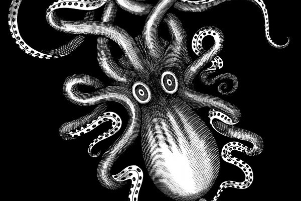 Kraken darknet зеркала