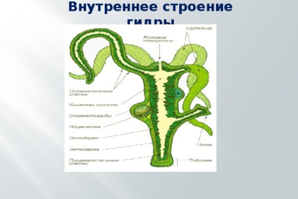 Аутентификатор кракен