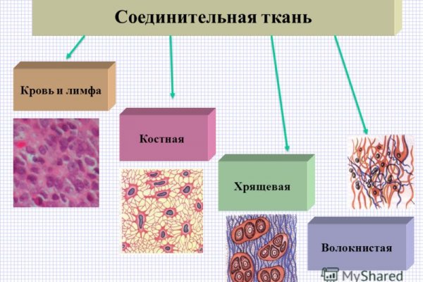 Сайт кракена в торе