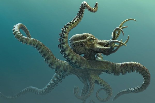 Kraken tor зеркало